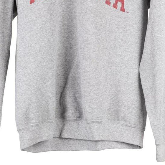 Vintage grey Minnesota Mv Sport Sweatshirt - womens small