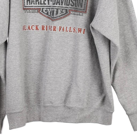 Vintage grey Black River Falls, Wisconsin Harley Davidson Hoodie - mens large